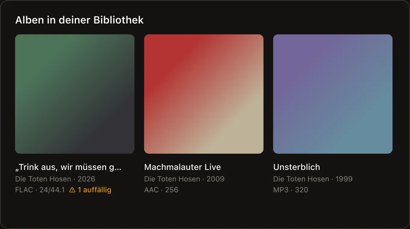 Drei Alben mit Format und Auflösung, eines davon mit dem Hinweis „1 auffällig“.